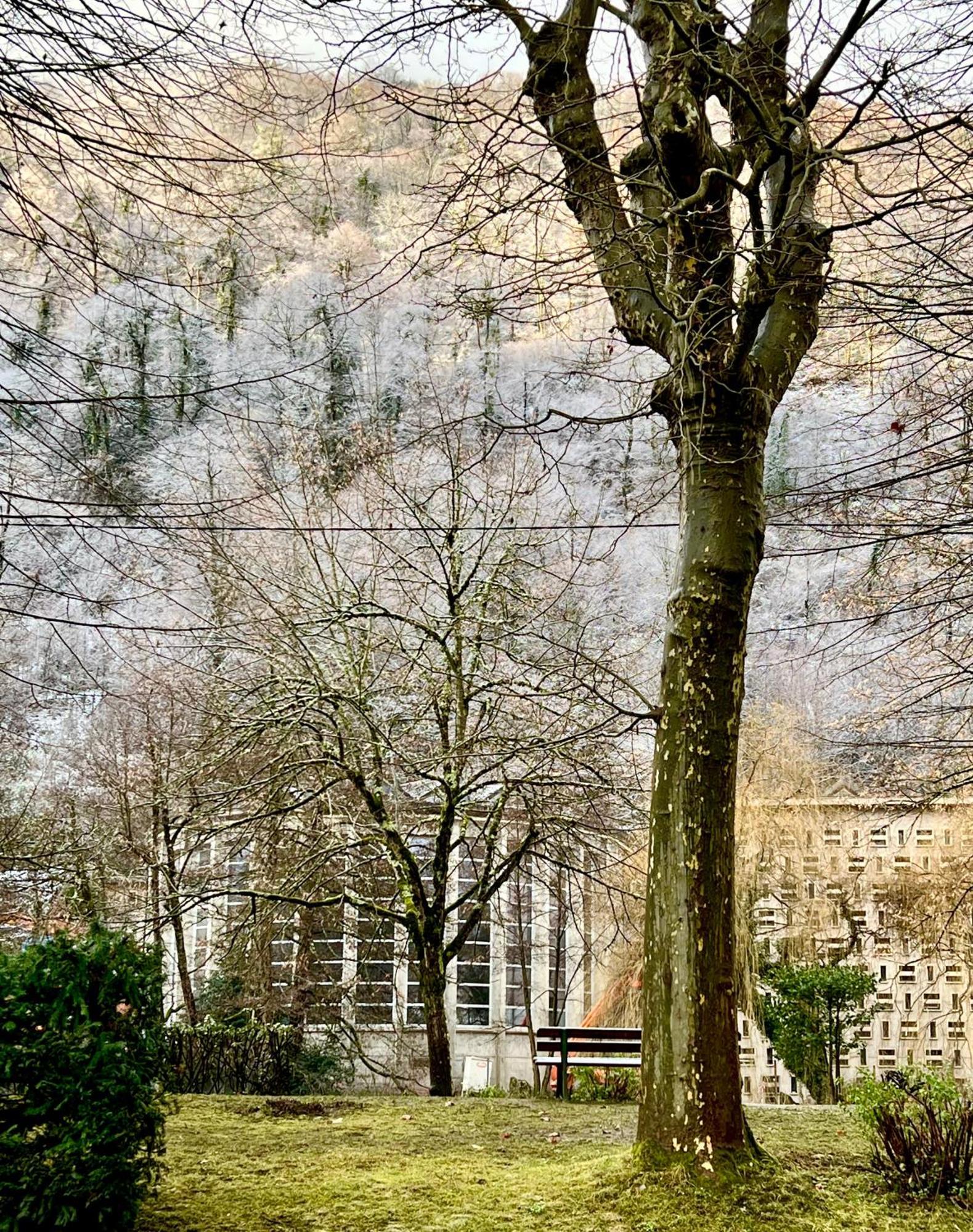 Fantastic Ground Floor Apartment Opposite Thermes Bagnères-de-Luchon Buitenkant foto