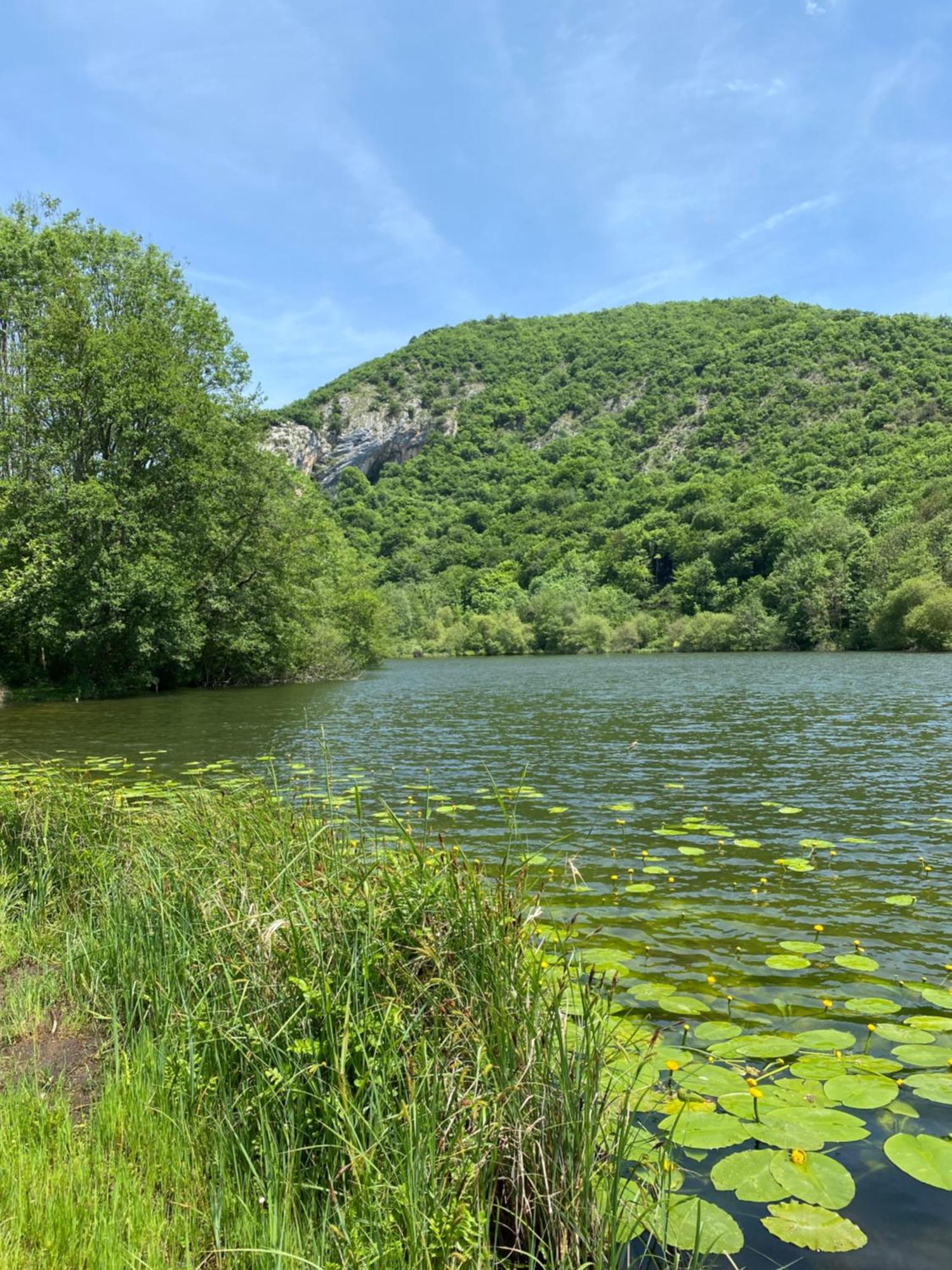 Fantastic Ground Floor Apartment Opposite Thermes Bagnères-de-Luchon Buitenkant foto